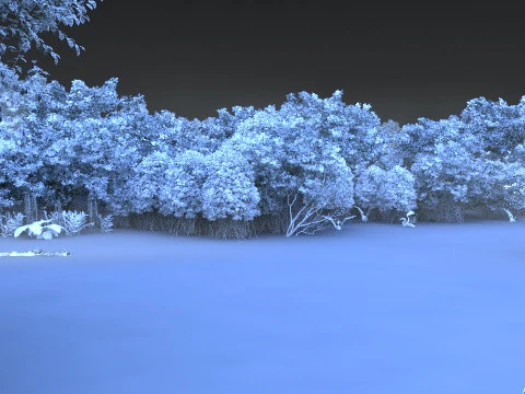 Waterscape 3D Model