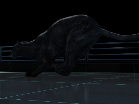 Black Panther 3Dモデル
