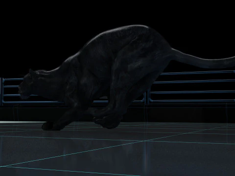 Pantera Nera Modello 3D