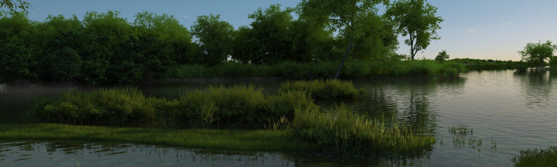 Wetlands 3D Модель .c4d .max .obj .3ds .fbx .stl .blend 