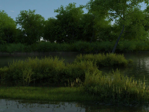 वेटलैंड्स 3D मॉडल