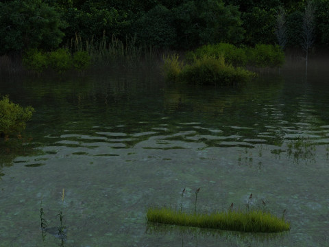 Wetlands 3D Модель