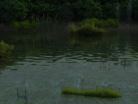 водно-болотные угодья 3D Модель