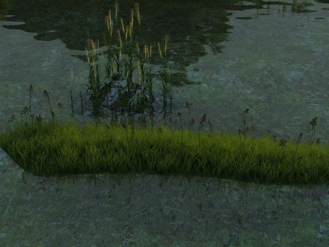 водно-болотные угодья 3D Модель
