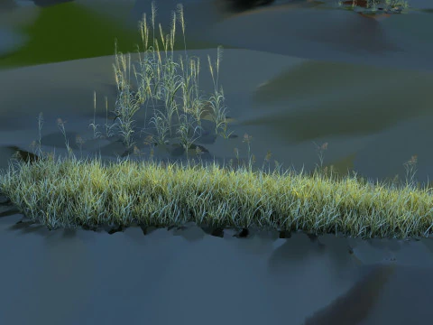 водно-болотные угодья 3D Модель