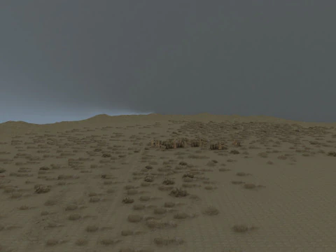 Desert 3D Model