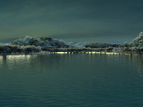 &Agrave; beira do lago Modelo 3D