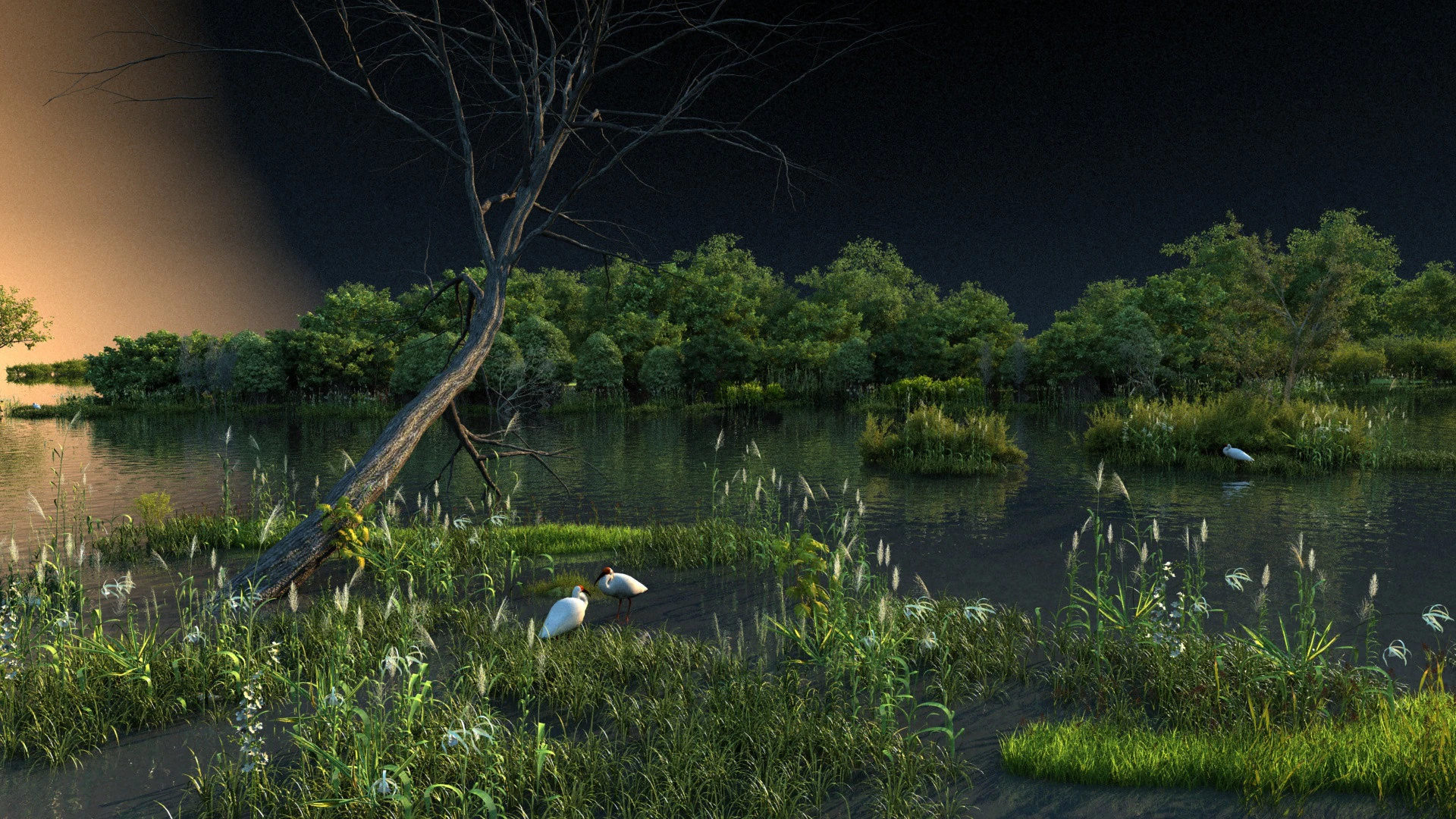 Wetland 3D Model .c4d .max .obj .3ds .fbx .stl .blend 