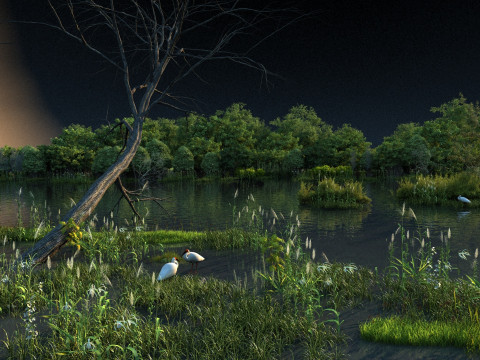 Wetland 3D Model