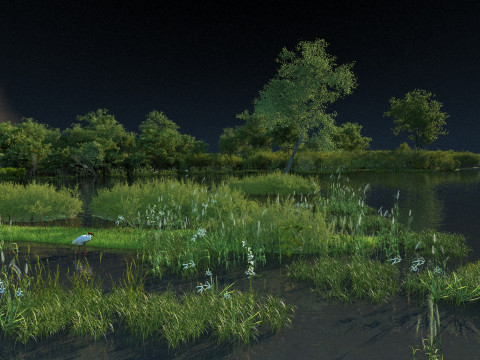 Wetland 3D मॉडल
