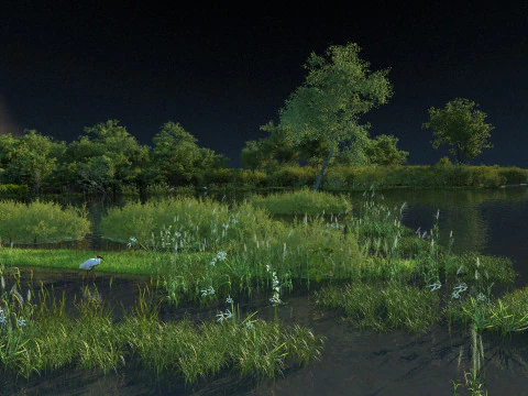 Wetland 3D Model