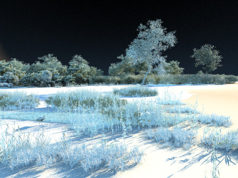 Wetland 3D मॉडल