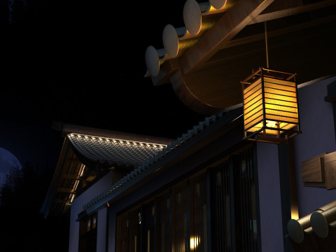 Night Modèle 3D