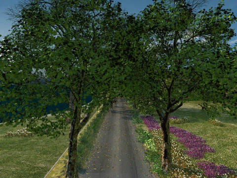 Lakeside path 3D Model