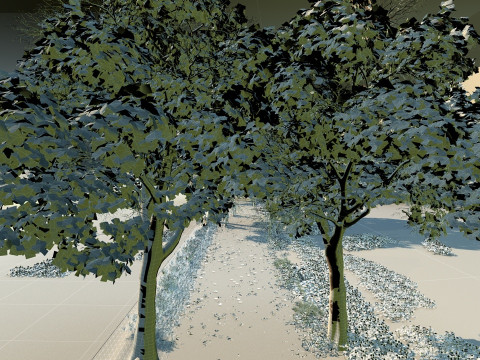 Lakeside path Modelo 3D