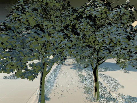 Lakeside path 3D Model