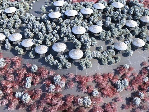 Garden 3Dモデル
