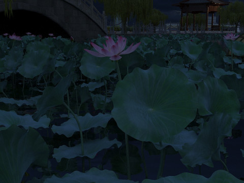 Lotus pond Modèle 3D
