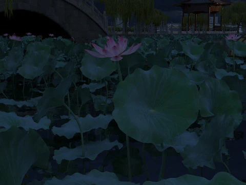 Lotus g&ouml;leti 3D Model