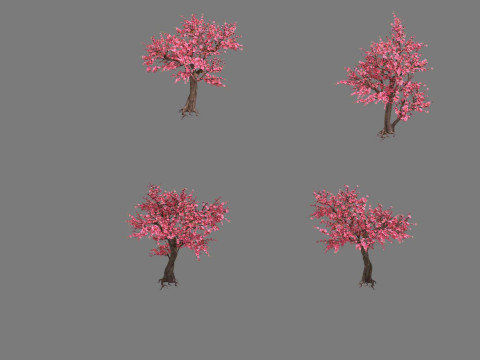 Peach 3D Model