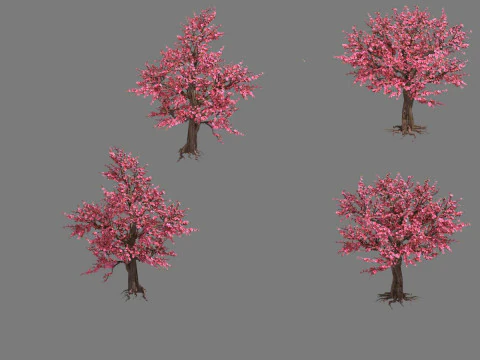桃 3Dモデル