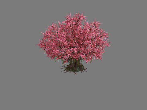 Peach 3Dモデル