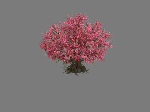 桃 3Dモデル
