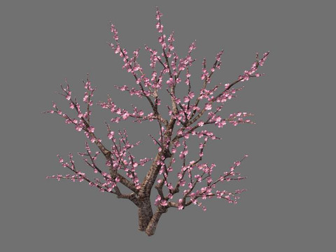 Peach Modelo 3D