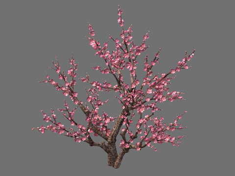 Peach Modelo 3D
