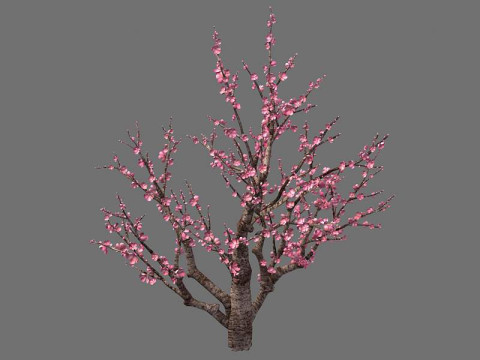 Peach 3Dモデル