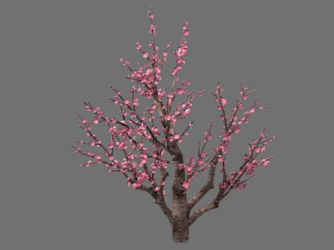 Peach 3D Model