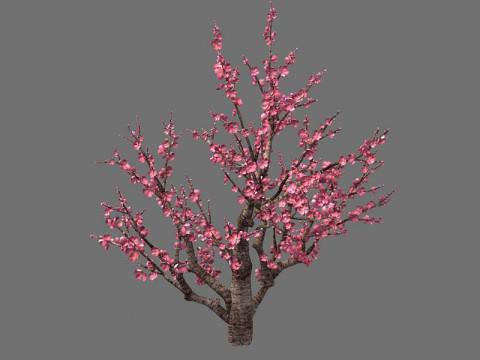 Peach 3Dモデル