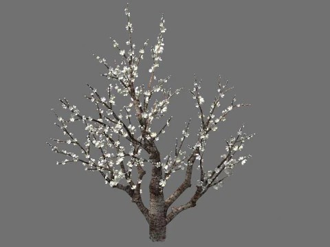 Peach 3D Model