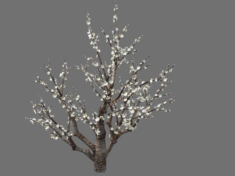 Peach 3D Model