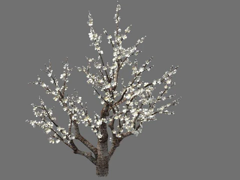 Peach 3D Model