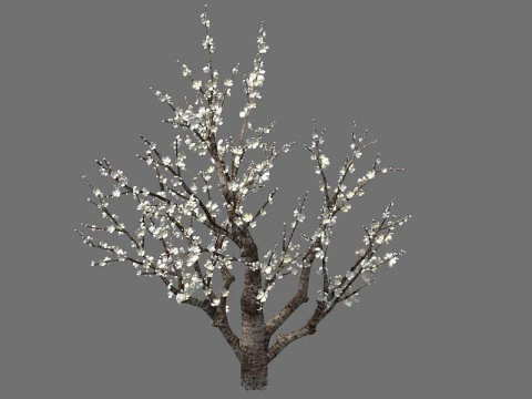Peach 3D Model
