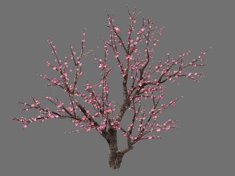 Peach 3D 모델