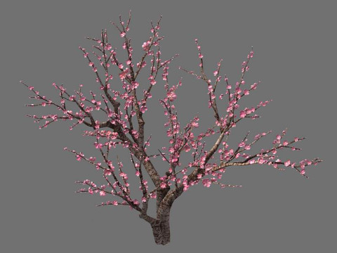 Peach 3Dモデル