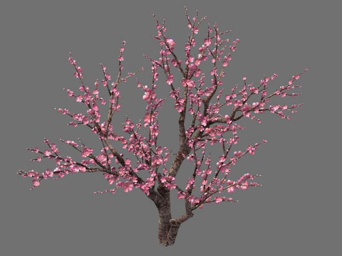 Peach 3Dモデル