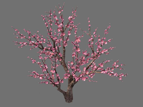 Peach 3Dモデル