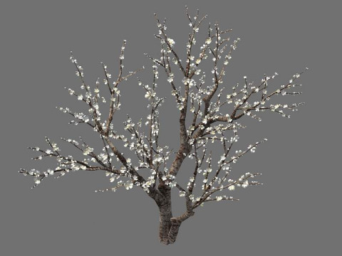 Peach 3Dモデル