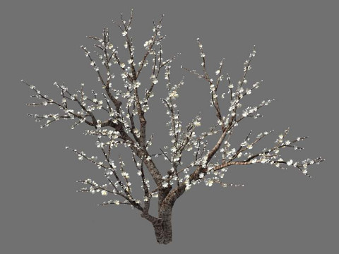 Peach 3Dモデル