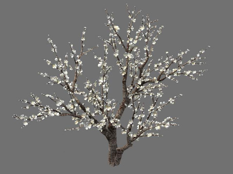 Peach 3Dモデル