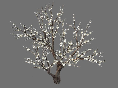 Peach 3Dモデル
