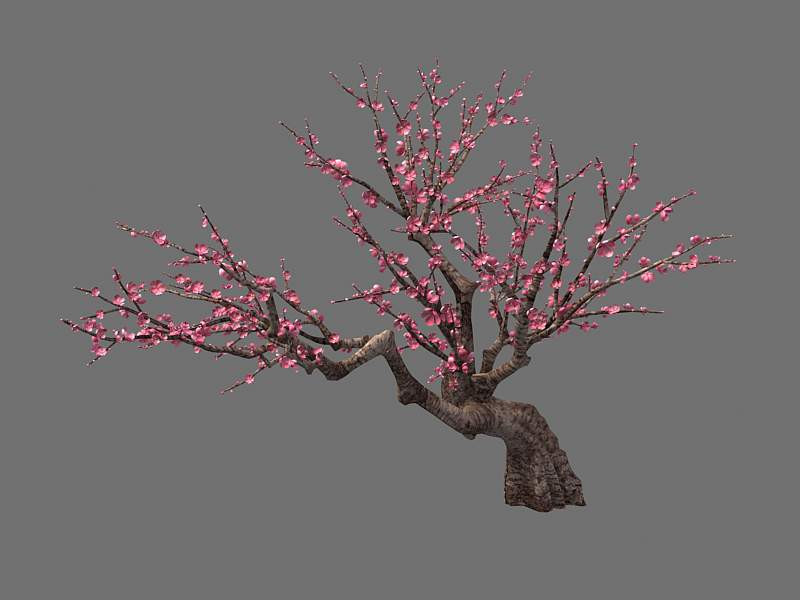 Peach Modello 3D .c4d .max .obj .3ds .fbx .stl .blend 
