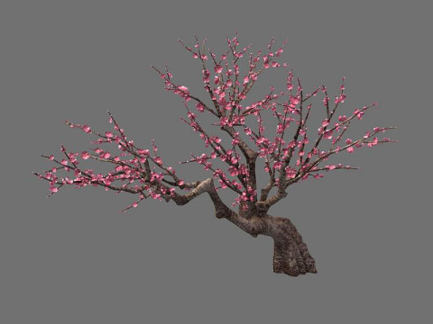 Peach 3D Model