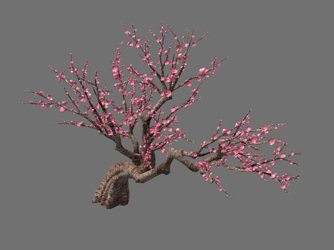 Peach Modello 3D
