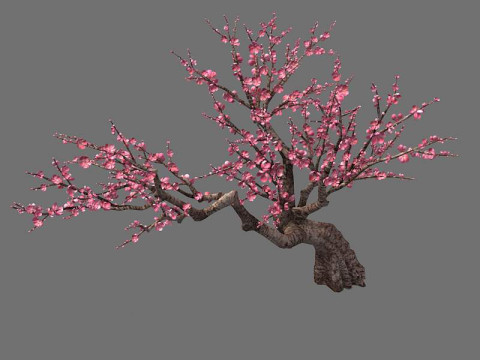 Peach Modello 3D