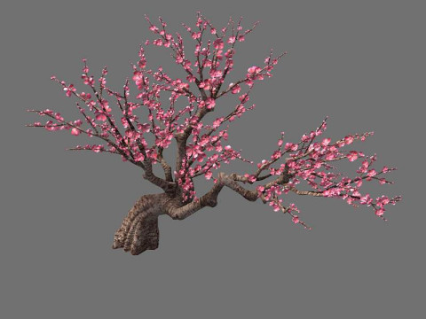 Peach Modello 3D
