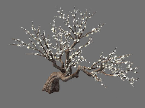 Peach Modello 3D